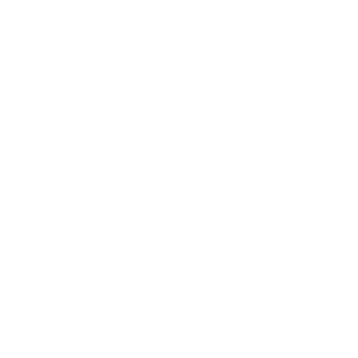Ícono Instagram